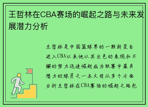 王哲林在CBA赛场的崛起之路与未来发展潜力分析
