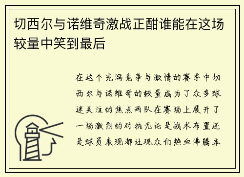 切西尔与诺维奇激战正酣谁能在这场较量中笑到最后