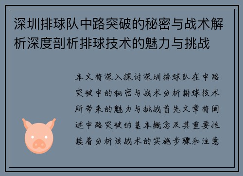 深圳排球队中路突破的秘密与战术解析深度剖析排球技术的魅力与挑战